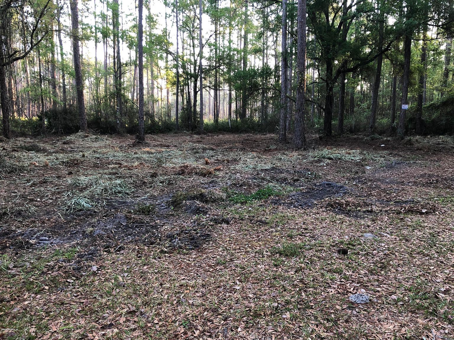 0 Lil Dixie Dr, Sanderson, FL 32087 Zillow