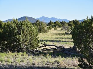 307 Mountain Cat Rd, Williams, AZ 86046