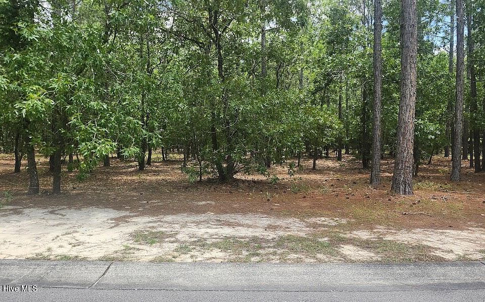 1st image of 497 Estevao Lane SE LOT 208