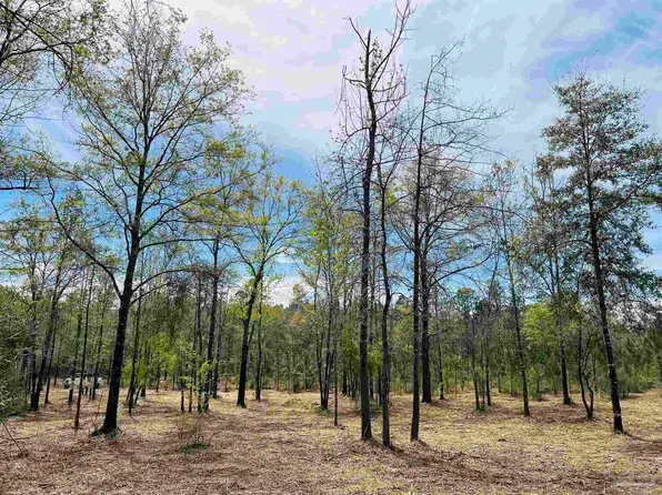 0 Mineral Springs Rd, Jay, FL 32565
