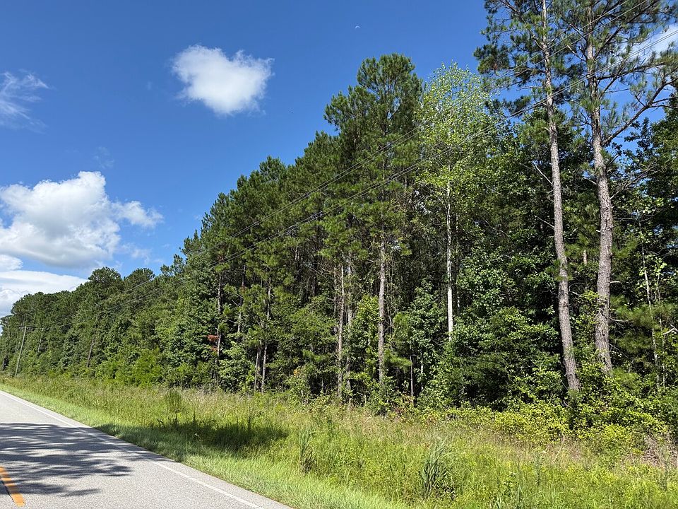 2nd image of 0 Malpass Corner Rd