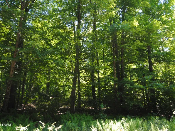 Duck Harbor Rd, Equinunk, PA 18417