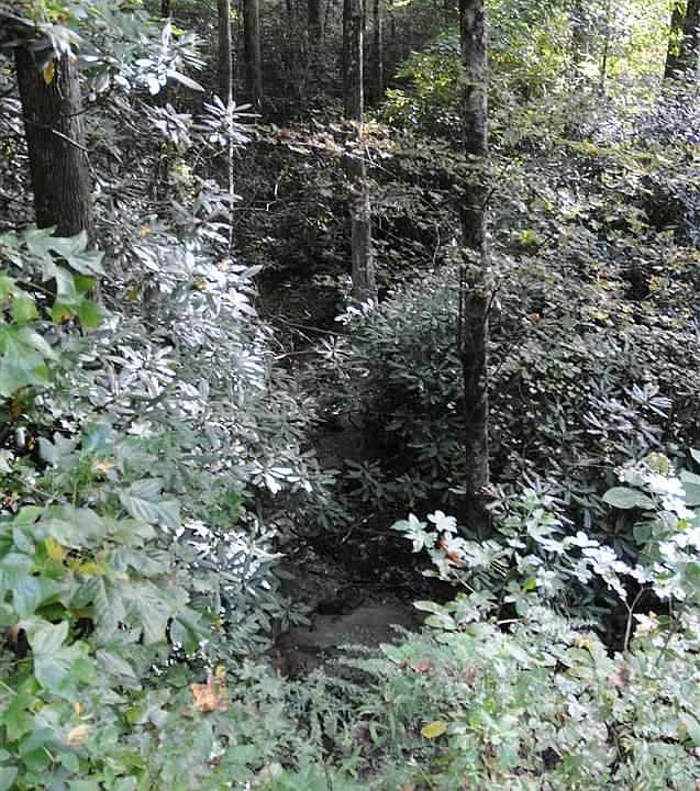 2nd image of 100 Fern Springs Way