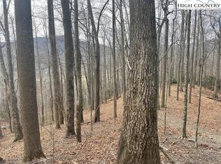 19 Jackson Ridge Road, Boone, NC 28607