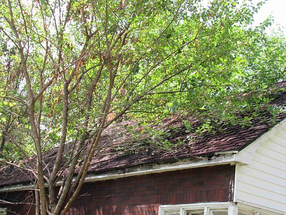 4741 Pennsylvania