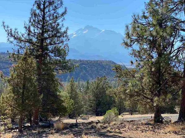 106-270-100 Lookout Ct, Weed, CA 96094
