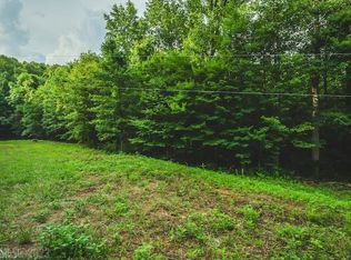 Tbd Woolwine Hwy, Woolwine, VA 24185