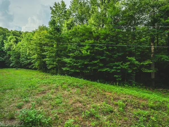 Tbd Woolwine Hwy, Woolwine, VA 24185