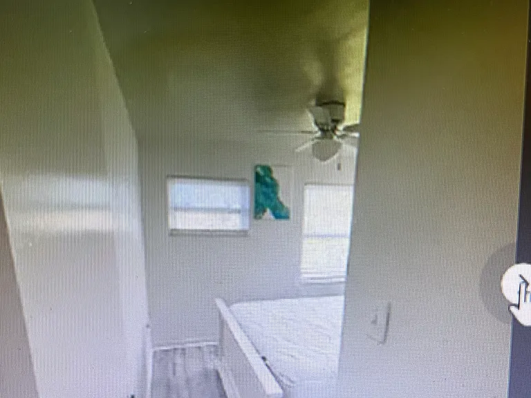10200 Gulf Blvd #7 — Photo 11