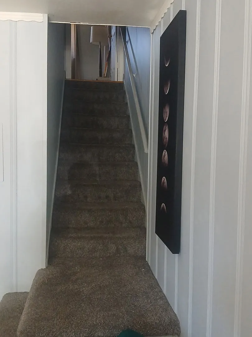 1 bed, 500 sqft, $2,000 — Photo 3