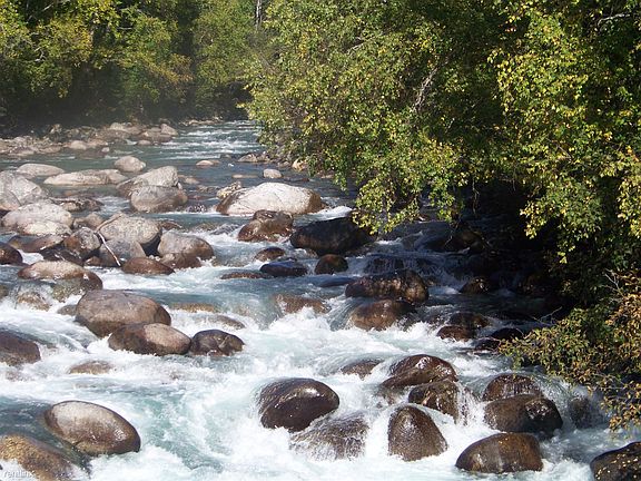 Creek PIcture