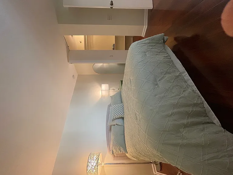 480 N McClurg Ct #912 — Photo 11