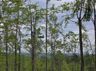 S Mount Tom Rd, Mio, MI 48647