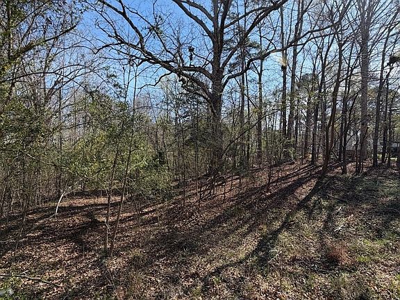 5th image of 0 Winnsboro Rd