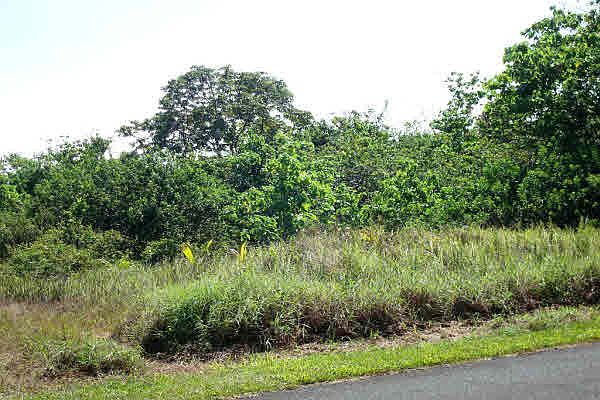 1st image of Puna Beach Palisades #62-lot 62