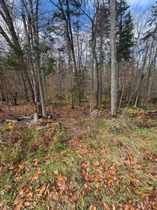 00 Hawk Spur Road, Plymouth, VT, 05056