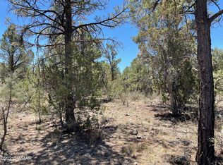 2261 Constellation Cir, Overgaard, AZ 85933