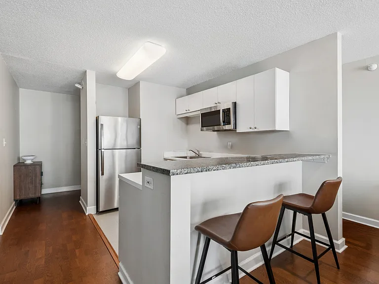 2 E Erie St #3614 — Photo 6