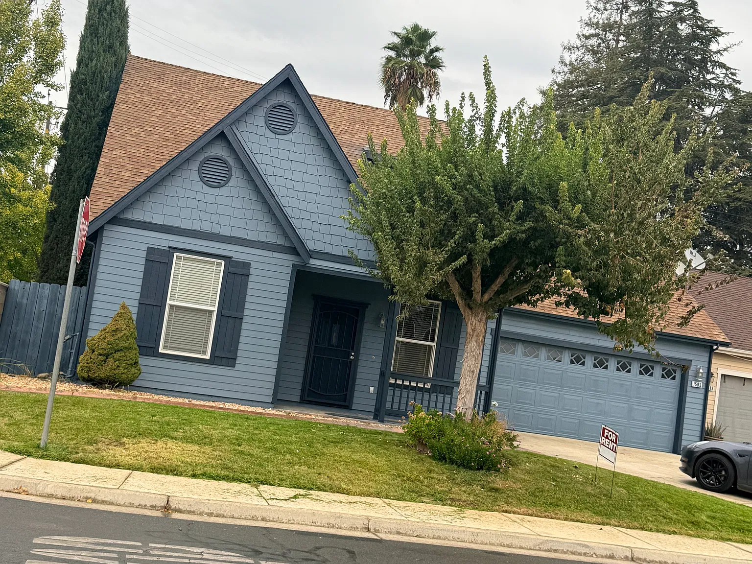 3 bed, 1410 sqft, $2,300 — Photo 2