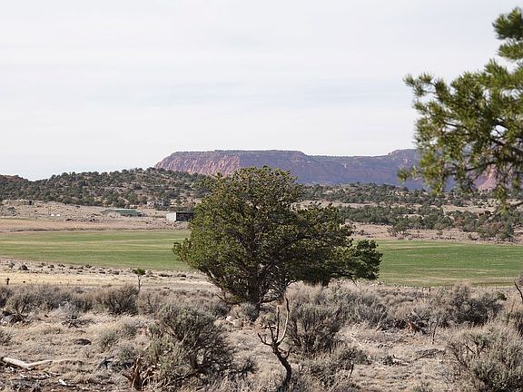 5th image of 1115 E Donkey Flats Rd