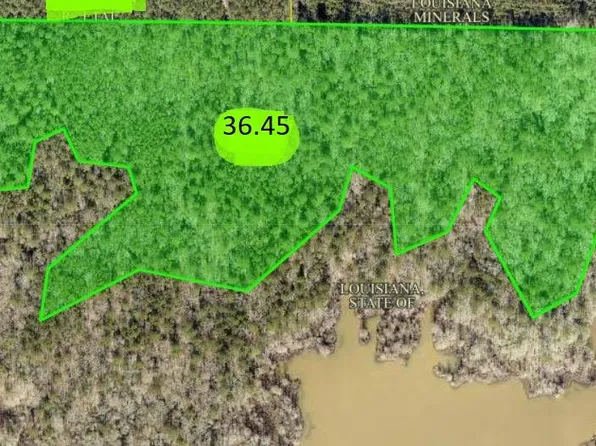 0 Ferguson Rd, Florien, LA 71429