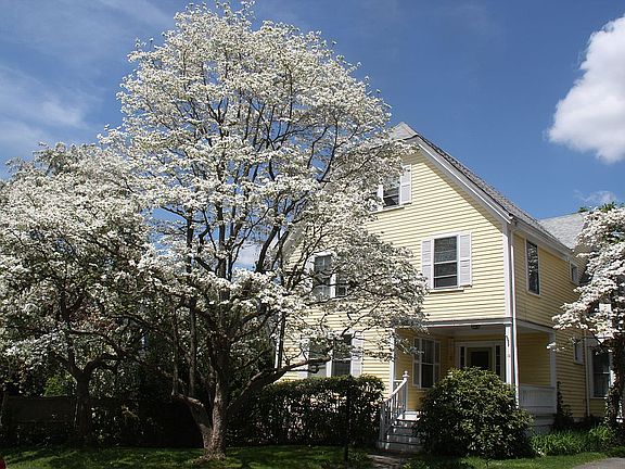 When the dogwoods flower....