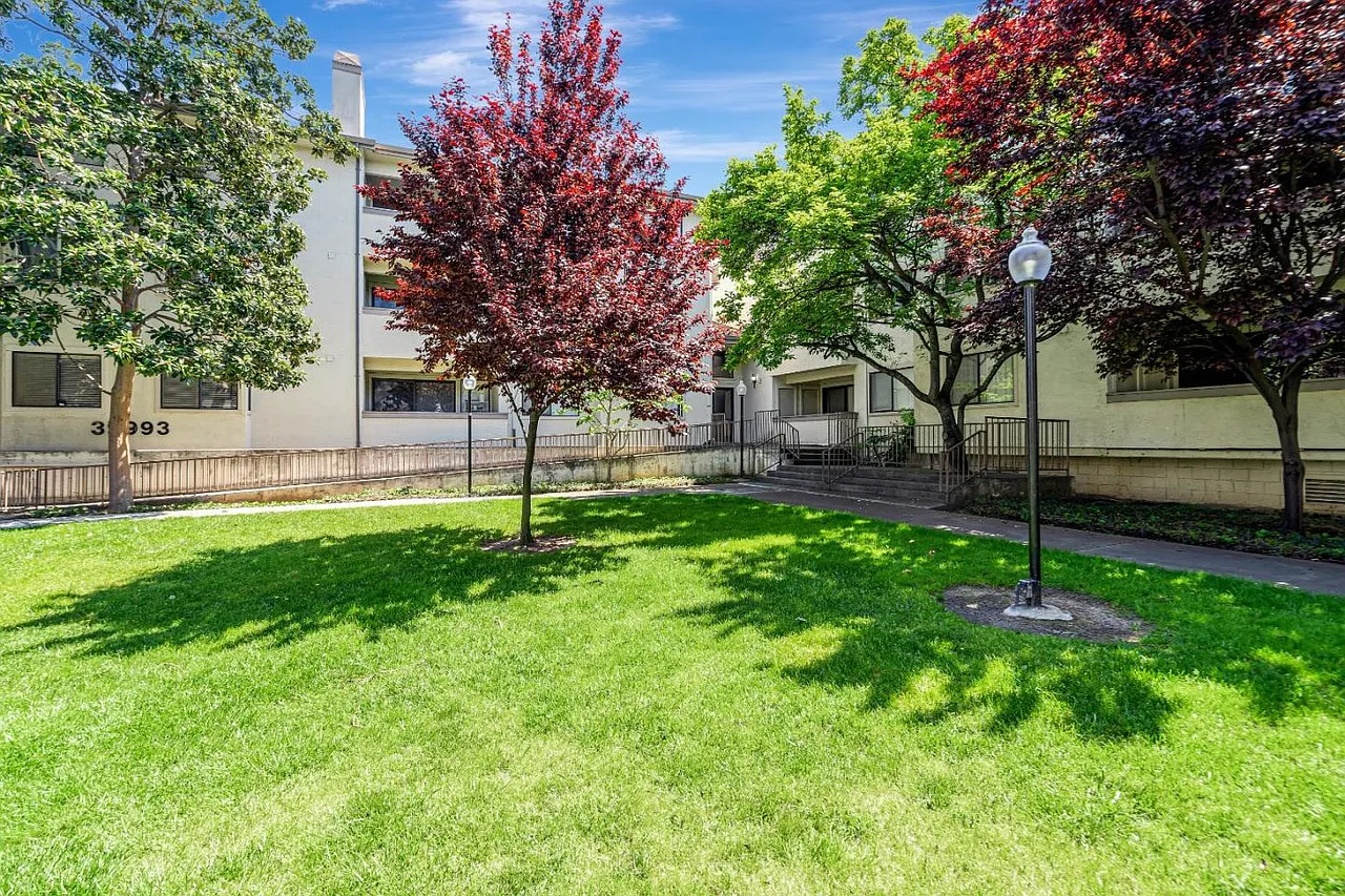 2 bed, 1146 sqft, $3,200 — Photo 1