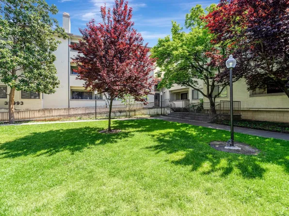 39993 Fremont Blvd, Fremont, CA 94538