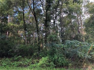 120 N Savary Ave, Inverness, FL 34453