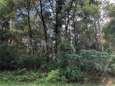 120 N Savary Ave, Inverness, FL, 34453