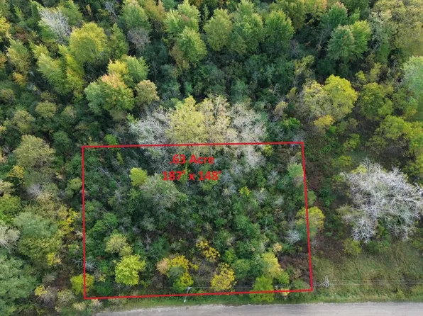 Washington Ave, Mount Morris, MI 48458