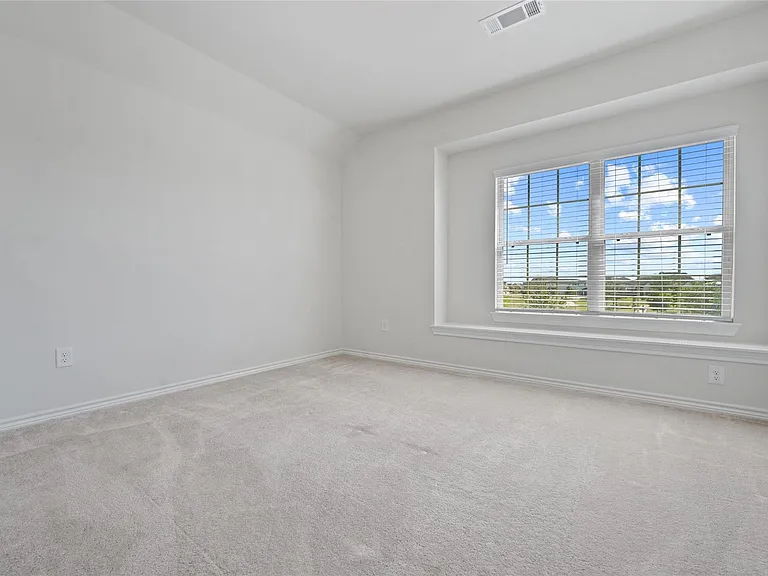 7203 Buckthorn Hollow Trl — Photo 18