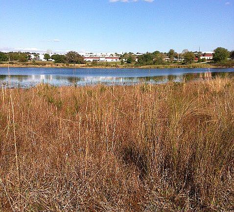 2nd image of Farm Land 117 Acres Lakefront Villa City Rd #Farm
