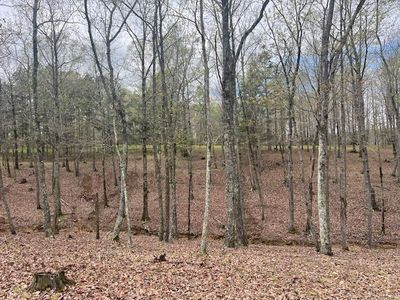 0 Willie Mauldon Rd, Lutts, TN, 38471