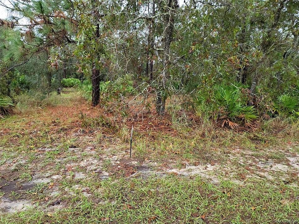 2nd image of 124 Linder Dr