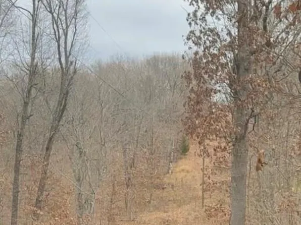 Swan Dr, Versailles, MO 65084