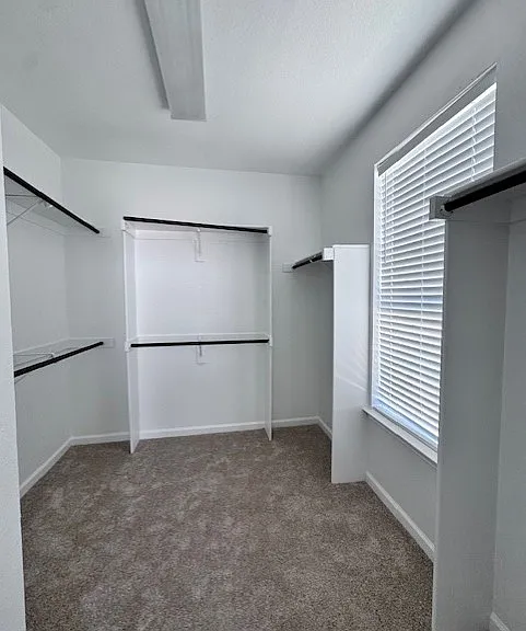 1525 Fallcreek Ct — Photo 13