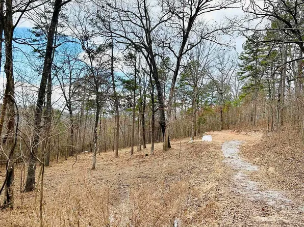 Ruddells Rd, Mountain View, AR 72560