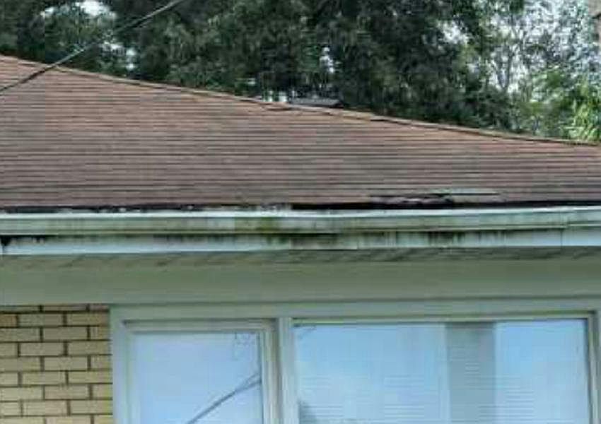 2nd image of 264 W 146th St
