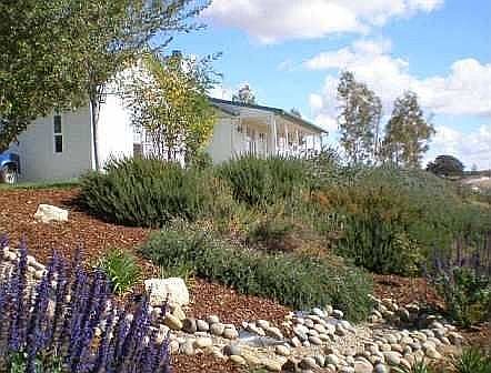1st image of 5735 Prancing Deer Pl