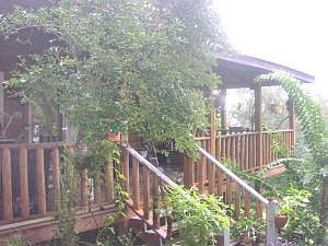 1st image of Hc72 B233c Cres #6831