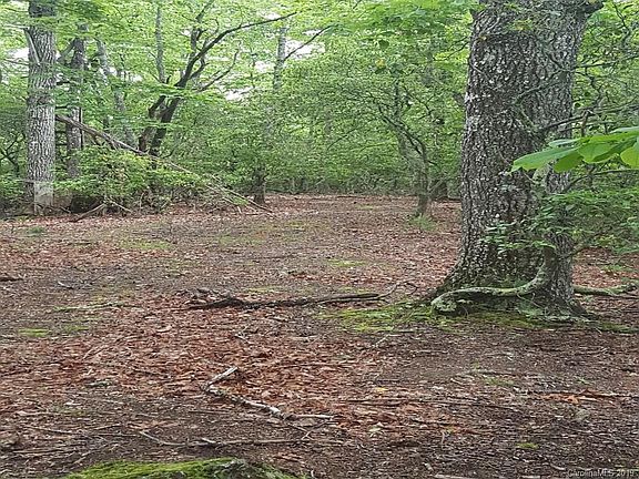 5th image of LOT 9R Shining Rock Path