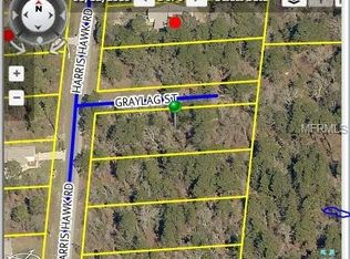 12288 Harris Hawk Rd, Weeki Wachee, FL 34614