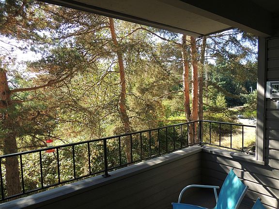 5th image of 13611 NE 8th St APT 206