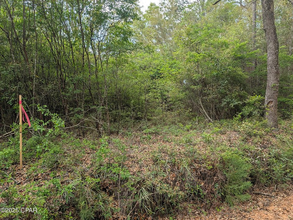 1st image of LOT 1&2 Olive Ln