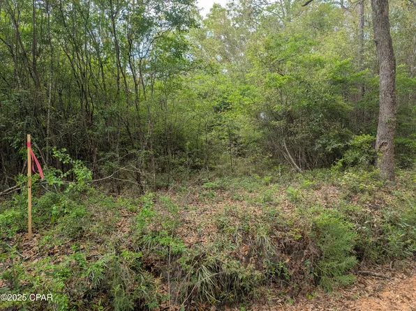 LOT 1&2 Olive Ln, Bonifay, FL 32425