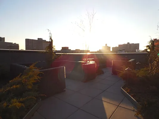 Rented by Gypsy Housing LLC | media 56