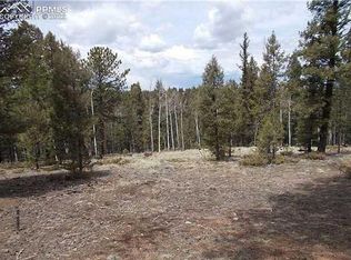 595 Ridge Rd, Divide, CO 80814