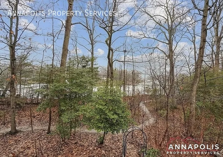 522 Wood Duck Ln — Photo 31
