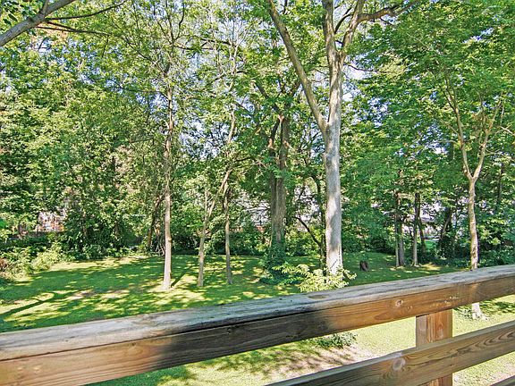 Beautiful Park Setting 